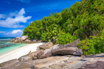 A wild beach on Ile Moyenne island in Saint-Anne Marine National Park in Seychelles on a sunny day
