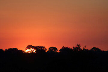 Sonnenuntergang Krüger Park / Sundown Kruger Park /