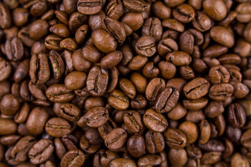 many roasted a coffee beans lie together