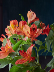 Fototapeta premium Modern flower bouquet of different colors, colorful bouquet of flowers.Gerberas, daisies, and Eustoma. Colorful background. Colorful postcard. Christmas card.