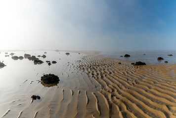 endless ocean floor uncovered at low tide with sand structures and rocks and tidal pools under lifting fog in the blue sky
