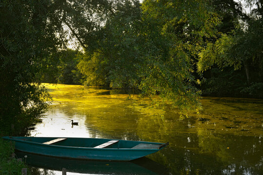 Barque au cr&eacute;puscule sur l'un des canaux du Marais Poitevin, d&eacute;partement de la Vend&eacute;e en r&eacute;gion Pays de la Loire, France