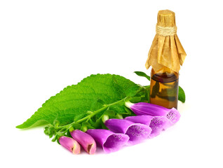 Digitalis or Foxgloves Medication in a bottle. Isolated on White Background. © Gummy Bear