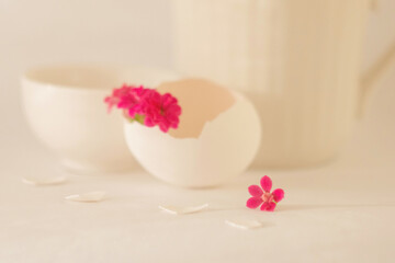 Pink Kalanchoe flower in a white eggshell on a light white background. Elegant white photo. Minimalistic still life. Soft light, high key.