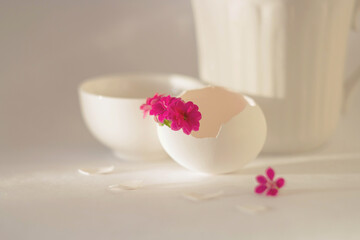 A set of various white items on a light white background and a pink flower. Elegant white tableware. Minimalistic still life. Soft light, high key.
Pink Kalanchoe in eggshell with white tea set 