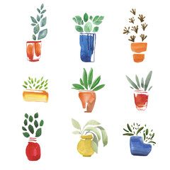 Fototapeta na wymiar Watercolor illustration. Indoor plants in bright, colorful pots. With green leaves. On a white background.