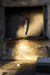 Visita al cementerio al atardecer