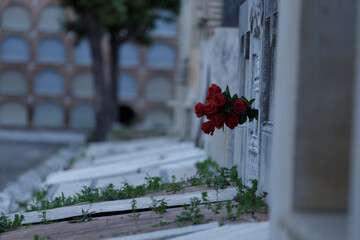 Visita al cementerio al atardecer