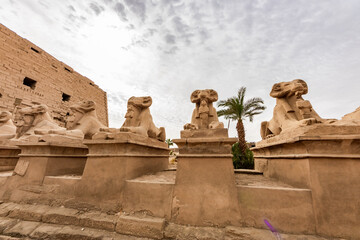 Ram-headed sphinxes or Criosphinxes in the Karnak Temple Complex in Luxor Egypt.