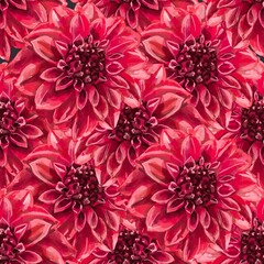 Beautiful background with hand-drawn delicate watercolor painting of red and pink dahlias. Stock drawing. 