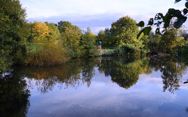Fototapeta premium krajobraz parkowy z bujnymi łąkami