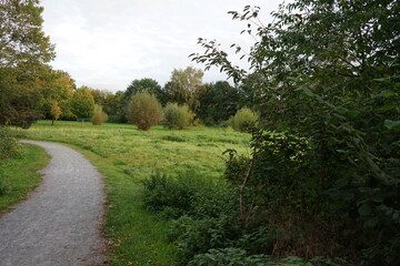 a park landscape with lush meadows