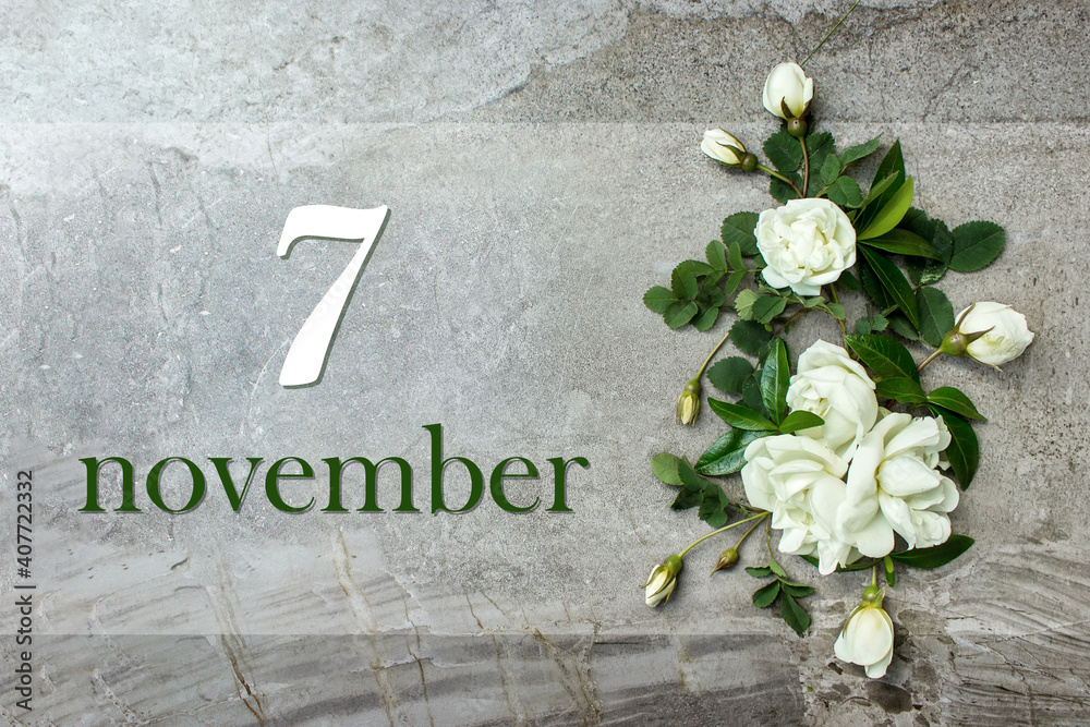 Wall mural november 7th. day 7 of month, calendar date. stylish roses flat lay. white roses border on pastel gr