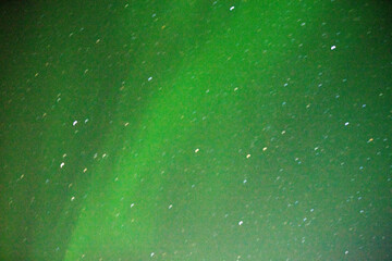 green northern lights in the murmansk region