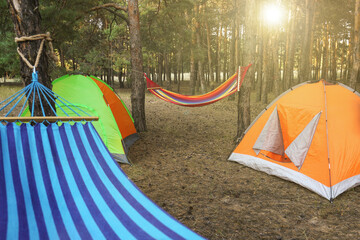 Colorful tents and empty comfortable hammocks in forest