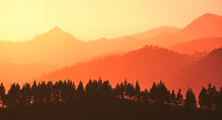 Sunset in the mountains where you can see the silhouette of the mountains with their pine trees