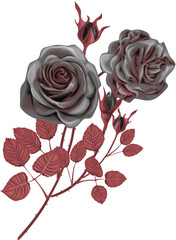 Gothic Vector Roses / Black roses bouquet isolated on white background / vintage roses vector