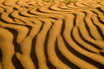 Background texture of desert sand