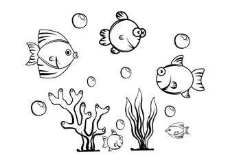 set of fishes