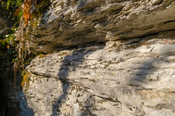 Textured rough surface of light limestone rock close up with plants in the background in the nature reserve side view