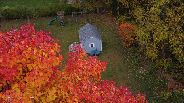 aerial fall leaves and shed