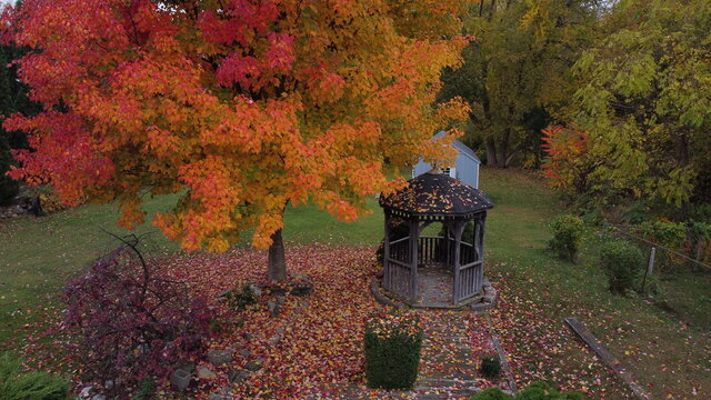 aerial fall leaves gazebo
