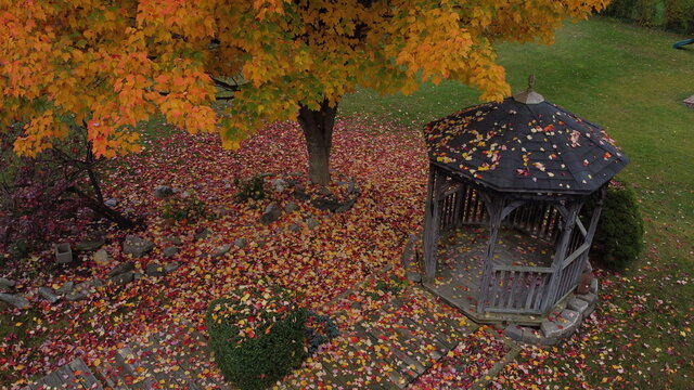 aerial fall leaves gazebo