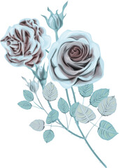 Vinter Vector Roses /White ice roses bouquet isolated on white background / vintage roses vector