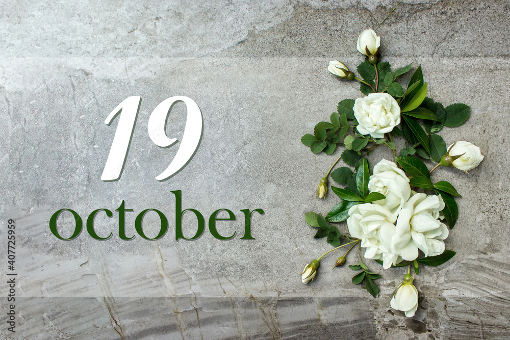 Wall mural October 19th. Day 19 of month, Calendar date. Stylish roses flat lay. White roses border on pastel grey background with calendar date. Autumn month, day of the year concept.