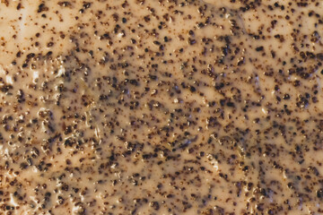 The texture of a facial or body scrub with ground apricot seeds.