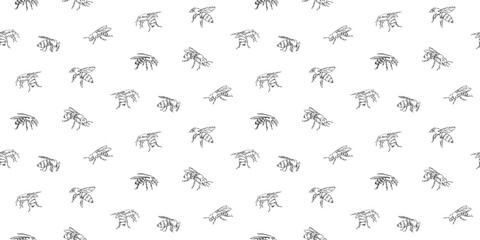 Hand drawn honey bee seamless pattern. Endless vector print with line insect drawn by ink. Monochrome realistic animal drawing sketch illustration isolated on white background