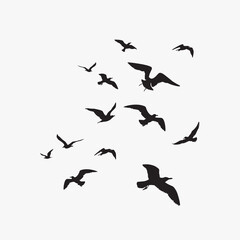 Seagulls silhouette.