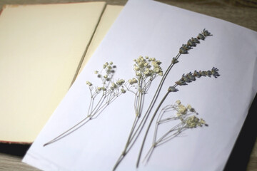 Old book, blank paper and various pressed flowers. Making herbarium at home. Selective focus.