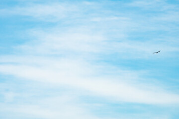 Blue sky background with clouds