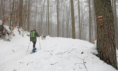 senderista montañera  con bastones y raquetas en la nieve niebla país vasco 4M0A7109-as21