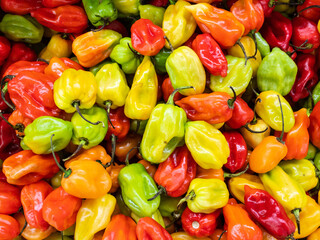 red and green peppers on the market