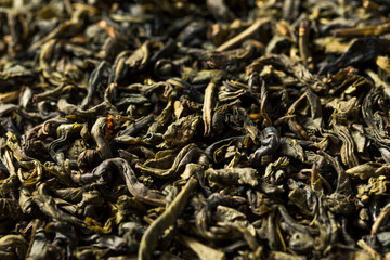 Dry Green Organic Tea Leaves