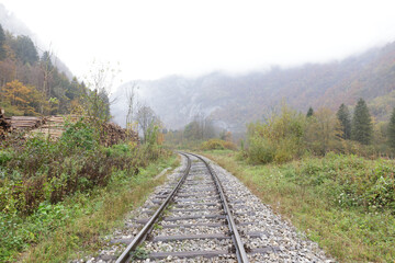Train tracks and logs pilled up
