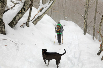 senderista montañero con bastones y raquetas en la nieve y perro negro país vasco 4M0A7150-as21