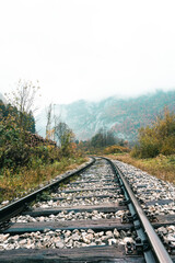 Fototapeta premium Train tracks and logs pilled up