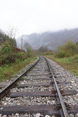 Fototapeta na wymiar Train tracks and logs pilled up