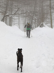 senderista montañero con bastones y raquetas en la nieve y perro negro país vasco 4M0A7157-as21