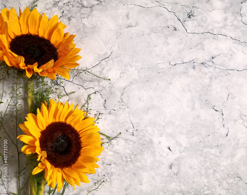 Two sunflowers sitting on a marble surface shot from above with space for text. Top view, flat lay, copy space. Summer background. Mother's day card template.
