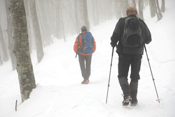 senderista montañero persona mayor con bastones y grampones en la nieve niebla país vasco...