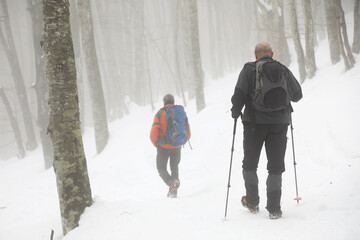senderista montañero persona mayor con bastones y grampones en la nieve niebla país vasco...