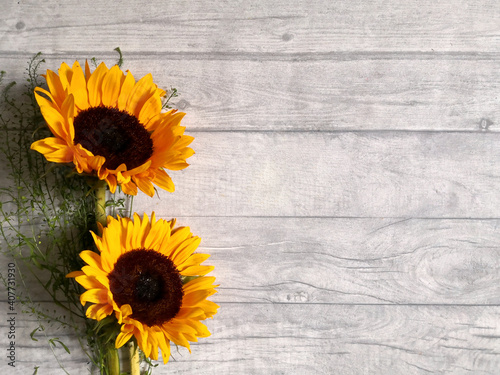 Sunflowers sitting on wooden surface shot from above with space for text. Top view, flat lay, copy space. Summer background. Mother`s day card template.