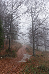 Moody foggy landscape in Slovenia