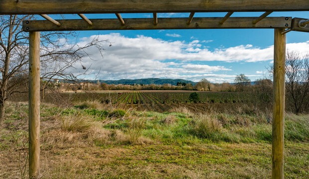 Lezignan-Corbieres forest in the South of France