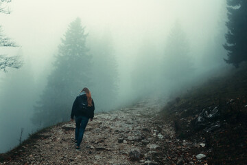 Obraz premium Moody foggy landscape in Slovenia