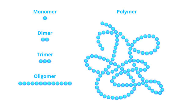 Vector scientific illustration of monomer, dimer, trimer, oligomer, and polymer isolated on a white background. Repeating units of the monomer as a part of a polymer. Macromolecular chemistry concept.